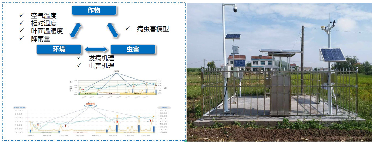 “5G+智慧農(nóng)業(yè)”的農(nóng)業(yè)大數(shù)據(jù)平臺該怎么做？