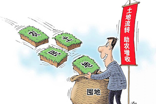 土地流轉(zhuǎn)意義重大，但真實的現(xiàn)狀并不理想