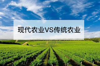 現(xiàn)代農業(yè)VS傳統(tǒng)農業(yè)，誰會更勝一籌？