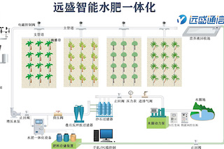 如何選擇水肥一體化設備？從這幾個方面入手！