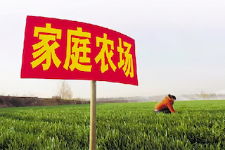 家庭農場僅是種地嗎？不是的，千萬不要搞混了！
