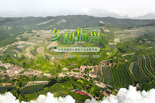 三農(nóng)一號(hào)文件工作重心，再次聚焦鄉(xiāng)村振興