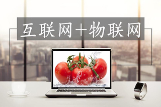 互聯網時代的高效農業(yè)，你真的了解么？