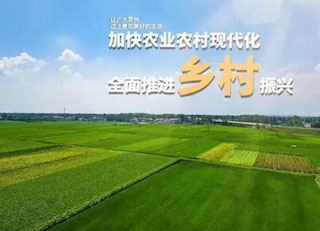 國家大力發(fā)展鄉(xiāng)村振興，但需要規(guī)避的五種傾向你知道嗎？