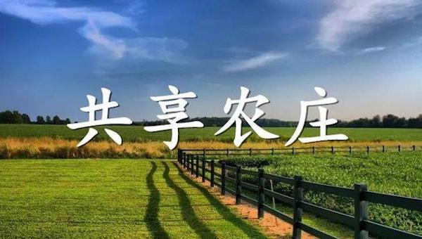 共享農(nóng)莊“共”的是什么？.jpeg