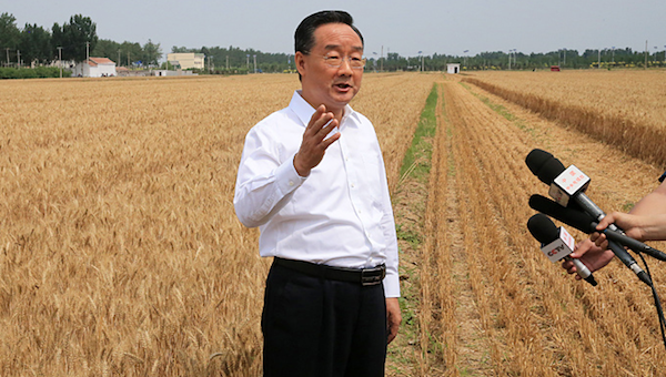 夏糧豐收了，全年經(jīng)濟就托底了.png