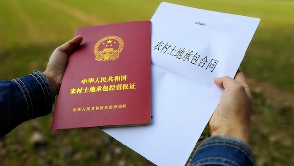 三大證件之土地承包經(jīng)營(yíng)權(quán)證.jpeg
