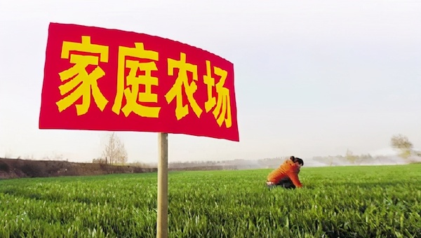 什么是家庭農(nóng)場(chǎng)？.jpeg