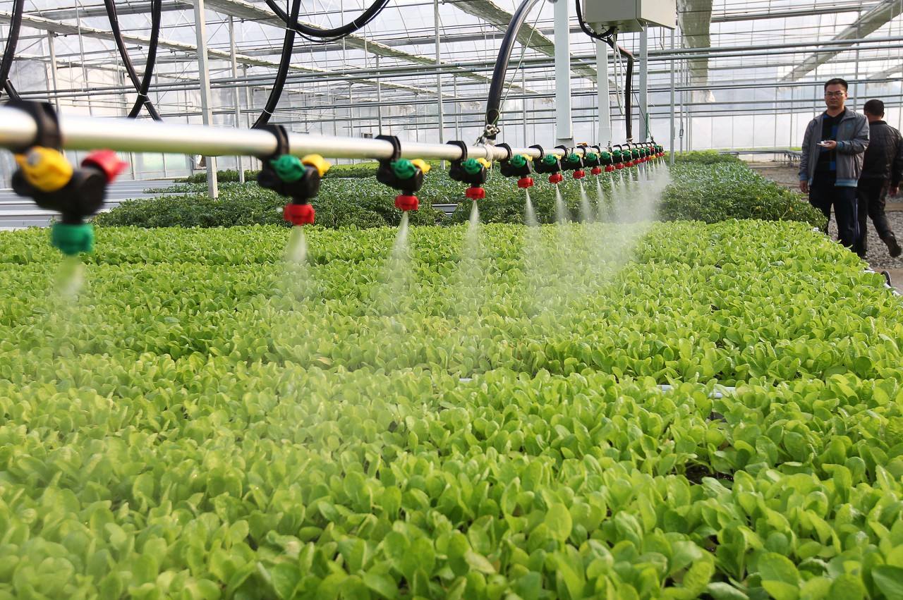 使用水肥一體機(jī)對(duì)于種植有哪些好處？.jpg