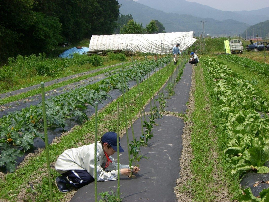 我們可以借鑒美國、日本的農(nóng)業(yè)發(fā)展模式，尋找屬于自己的農(nóng)業(yè)發(fā)展道路。.jpg
