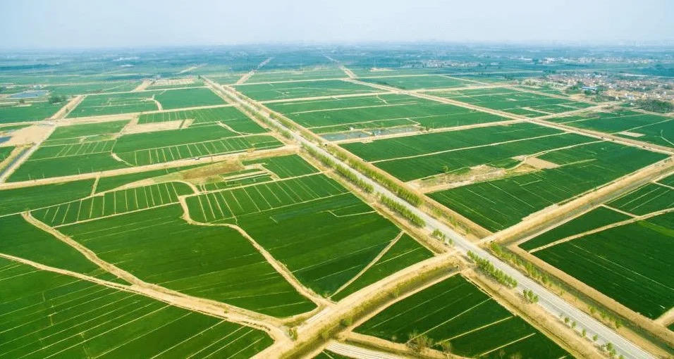 高標(biāo)準(zhǔn)農(nóng)田建設(shè)中的4個(gè)問(wèn)題和4個(gè)建議.jpg